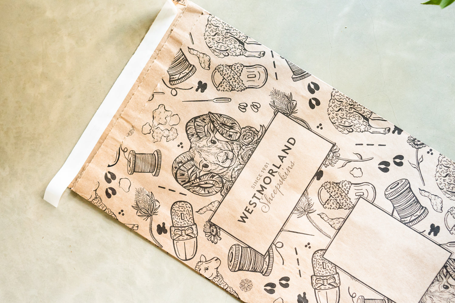 Saying no to plastic – We are going greener!