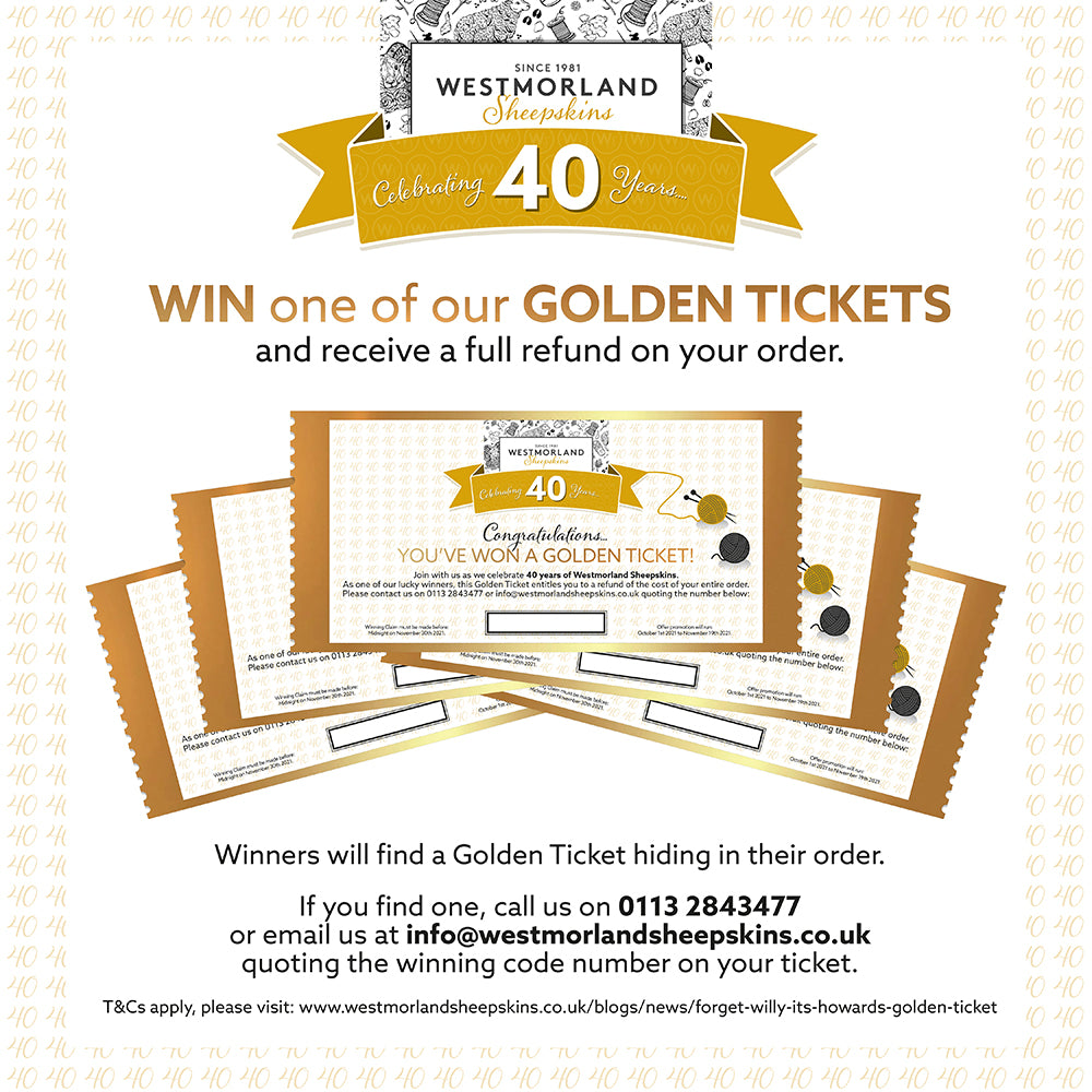 Forget Willy - It's Howard's Golden Ticket!