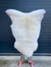 light rare bread British sheepskin rug