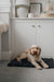 Dog lying on a black sheepskin pet bed in a room with a white cabinet and decorative items.