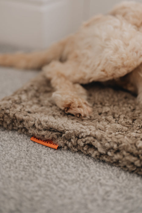 Close up of a dogs leg laid on a brown sheepskin pet bed