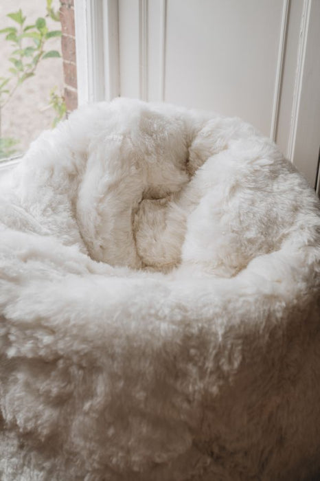 White sheepskin bean bag in a room with a window and white wall.