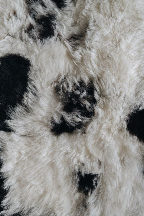 Close-up of a sheepskin rug surface with black and white patches