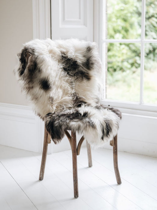 Icelandic natural spotted long sheepskin rug