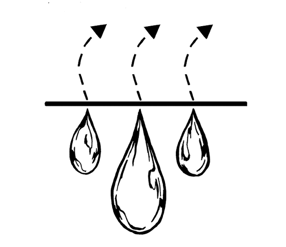 Line Drawing for Westmorland by Ellie May, Moisture Wicking.