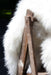 Natural white sheepskin rug draped over wooden post