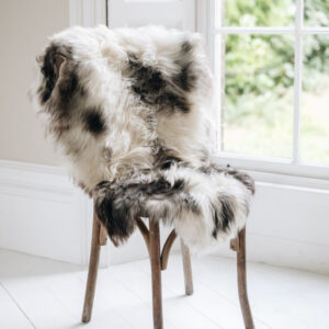 Icelandic natural spotted long sheepskin rug