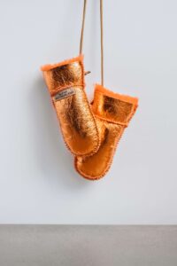 Gloves