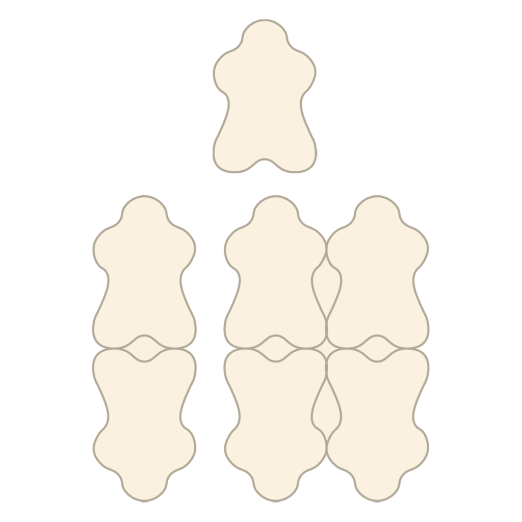 digital illustration to show the layout of skins in single, double and quad rugs